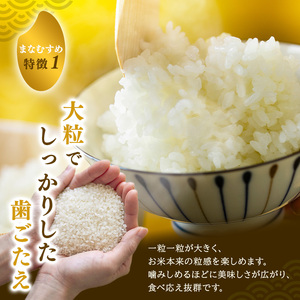 まなむすめ 定期便12回/5kg×1袋 令和8年産 新米先行予約 宮城県産 米 精米 白米 米 コメ お米 おこめ ブランド米 ご飯 ごはん
