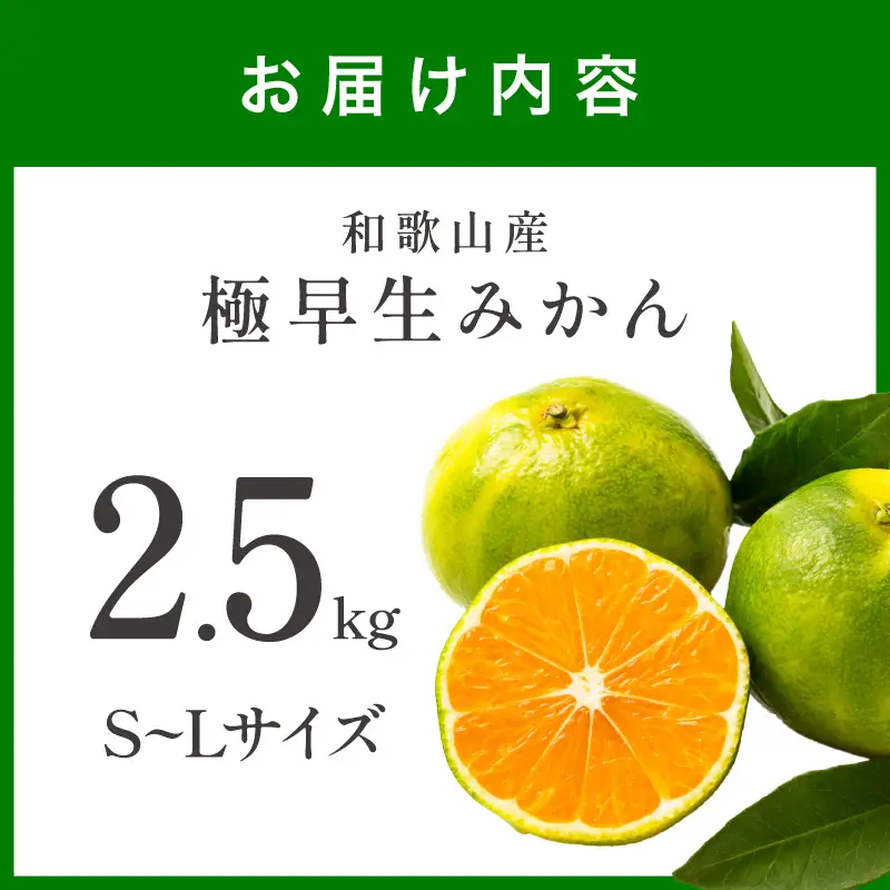 【1212】極早生みかん 2.5kg 和歌山産 甘酸っぱいみかん