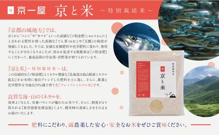 京都府京田辺市産 京と米 ヒノヒカリ 6kg (2kg×3袋) R7年度産 お米 米 こめ コメ 精米 白米 ごはん ご飯 弁当 おにぎり 真空 長期保存 防災 京田辺市 京都府 kt2026