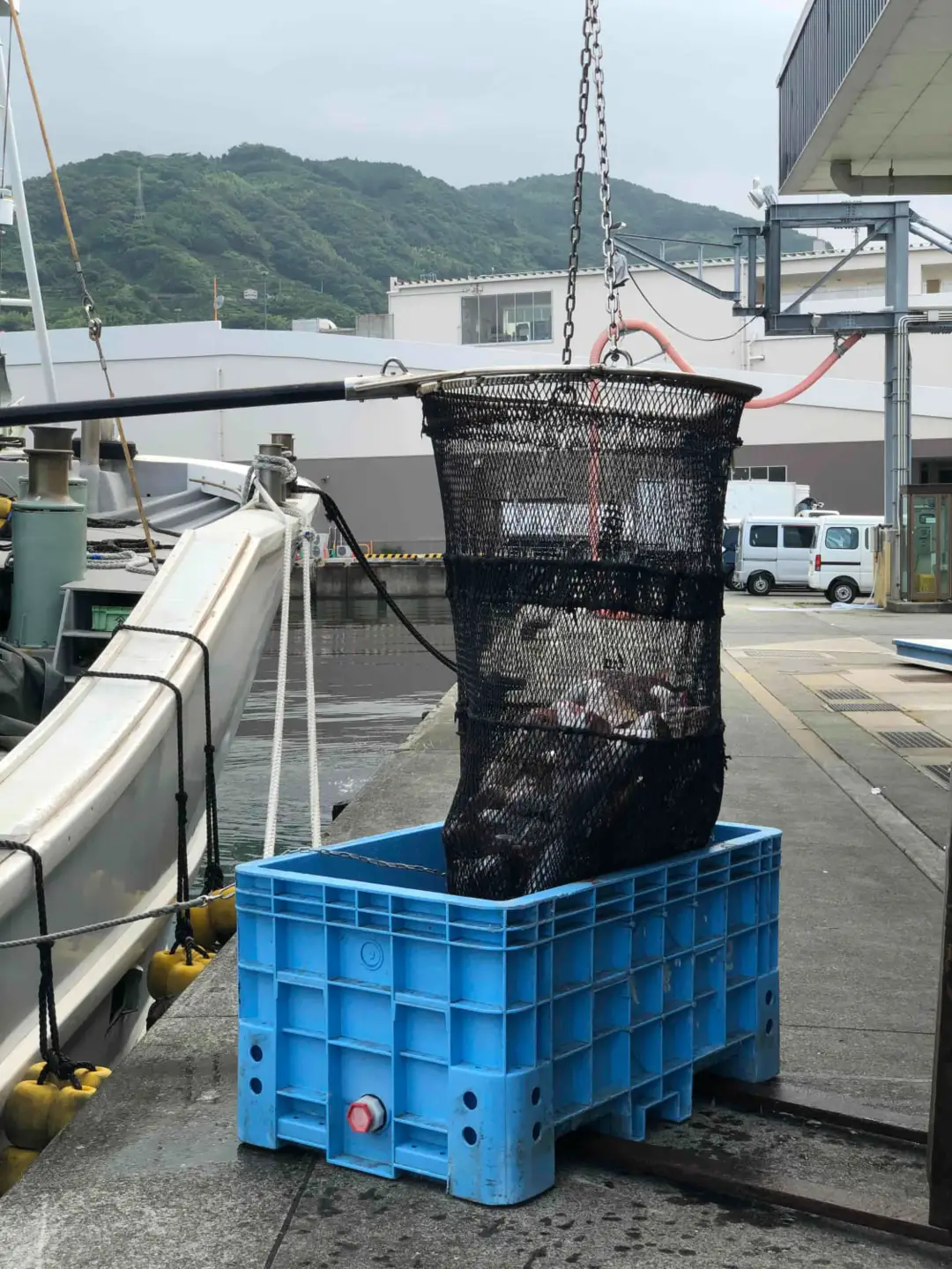 竹中水産の一押し「お任せ鮮魚!」2.5キロ前後【G22-237】【配送不可地域：離島・北海道・沖縄県】【1073398】 YWTM055