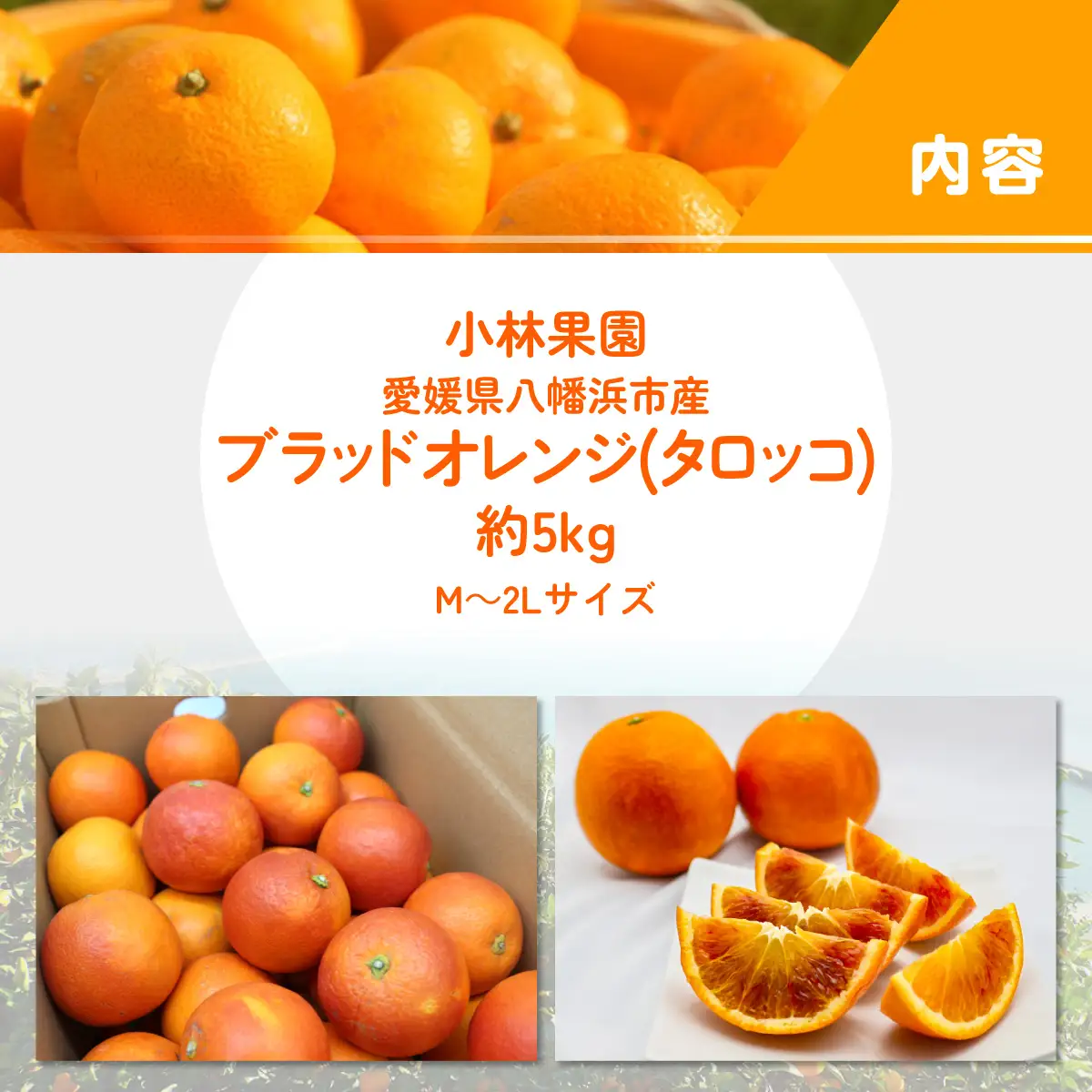 【先行受付】小林果園のブラッドオレンジ(約5kg)【C24-24】【1124430】 YWTAD017
