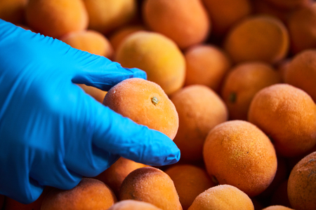 “ひんやり天然スイーツ”えひめの冷凍みかん6袋セット(ハローキティパッケージ)【C28-35】【配送不可地域：離島】【1144774】 YWTN023