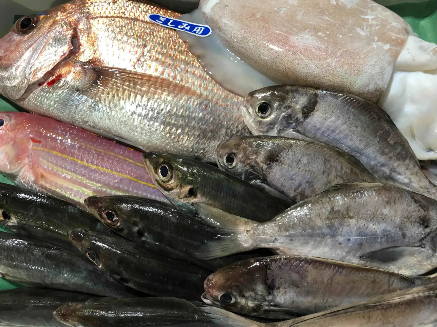 竹中水産の八幡浜発!「朝獲れデイリー鮮魚BOX」2キロ【D22-278】【配送不可地域：離島・北海道・沖縄県】【1298415】 YWTM095