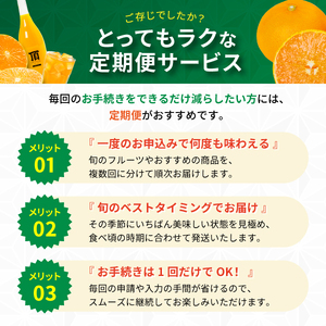 【発送月固定定期便】みかんのある暮らし全12回【H31-33】【配送不可地域：離島】【4000707】 YWTAC022
