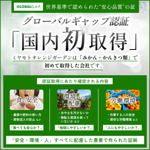 シーズン一番採り!極早生みかん 小玉6kg【訳あり】【C25-47】【1248092】 YWTAP030