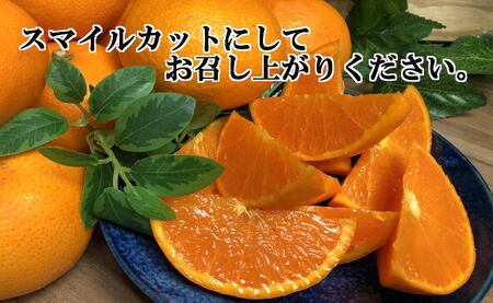 柑橘の大トロ!「せとか」約3.5キロ【訳あり品・家庭向け】【C39-51】【配送不可地域：離島】【1491413】 YWTF026