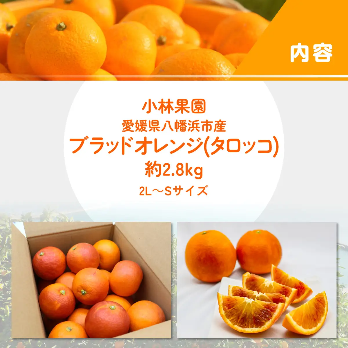 【先行受付】愛媛・小林果園のブラッドオレンジ 約2.8kg【C24-32】【1519321】 YWTAD023