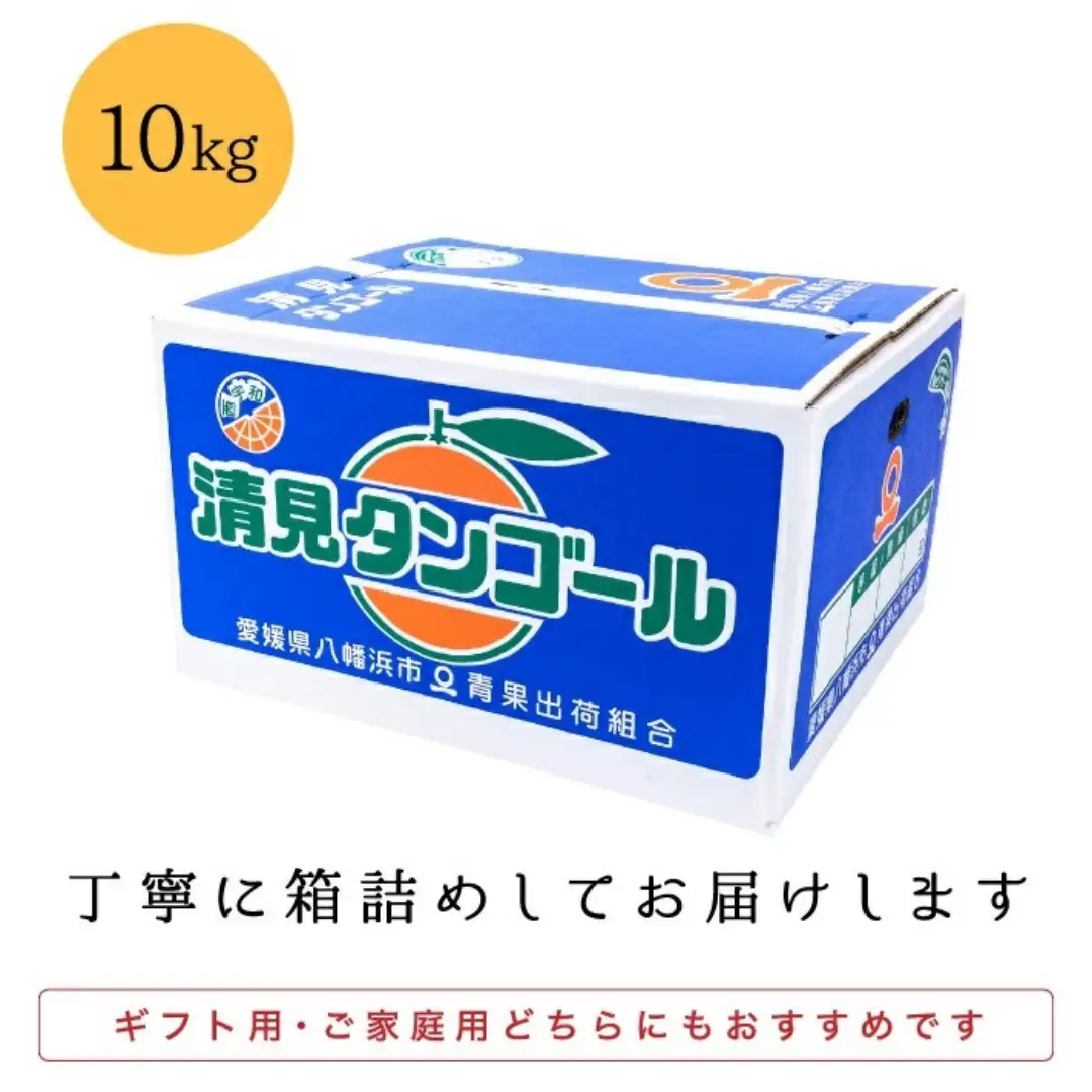【先行受付】【まるで食べるジュース!越冬完熟品】愛媛産 清見オレンジ 10kg【G20-41】【1594852】 YWTI036