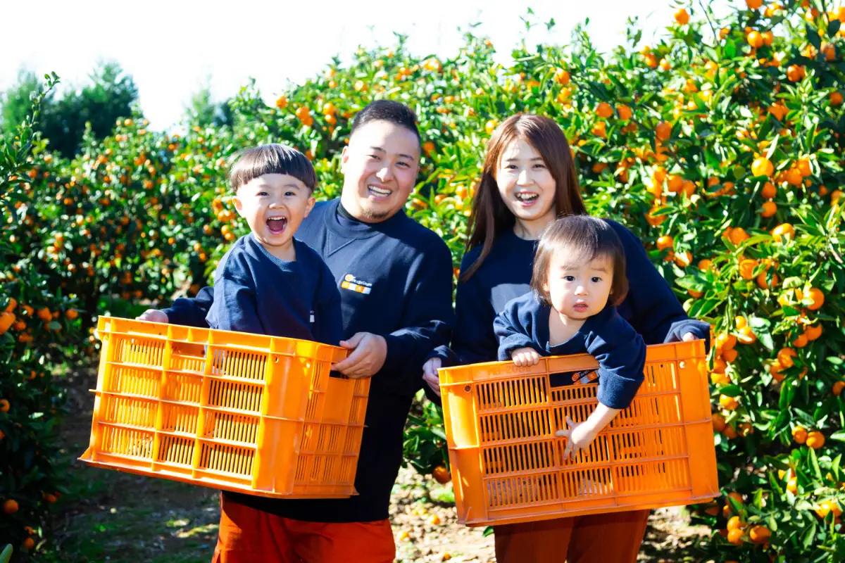 【先行受付】「夕やけブランド」柑橘の大トロ!【せとか】5kg【G49-79】【1621091】 YWTZ064