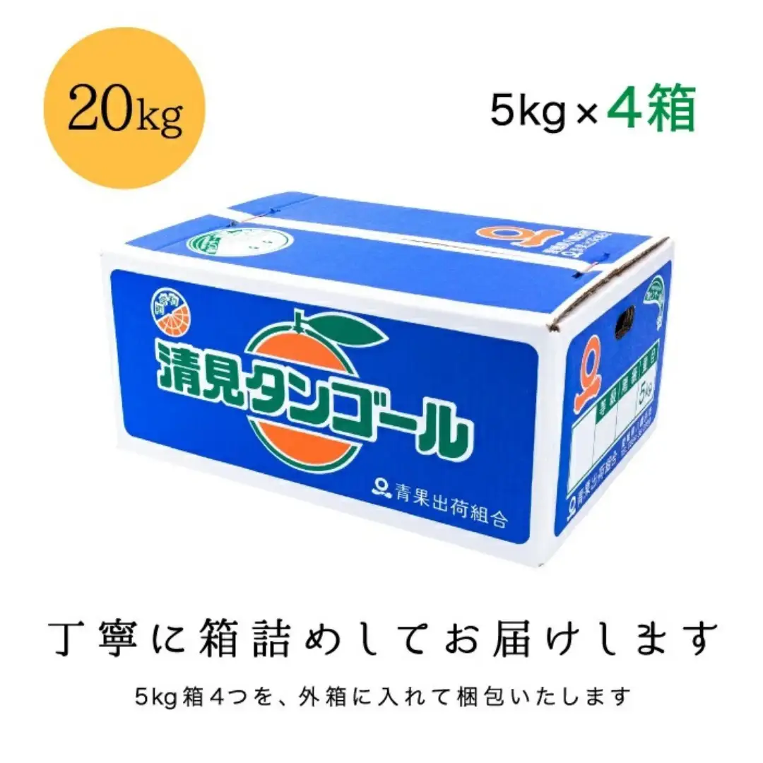 【先行受付】【まるで食べるジュース!越冬完熟品】愛媛産 清見オレンジ 20kg【H20-94】【1625385】 YWTI089