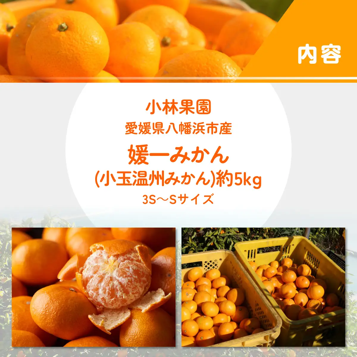 【先行受付】小林果園の媛一みかん【小粒】約5kg【C24-34】【1633616】 YWTAD025