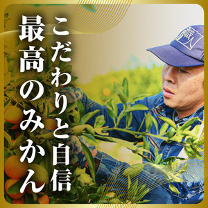 【紅プリンセス同品種】愛媛県産 新品種柑橘 愛果48号【甘平×まどんな】2kg【D31-56】【1660048】 YWTAC045