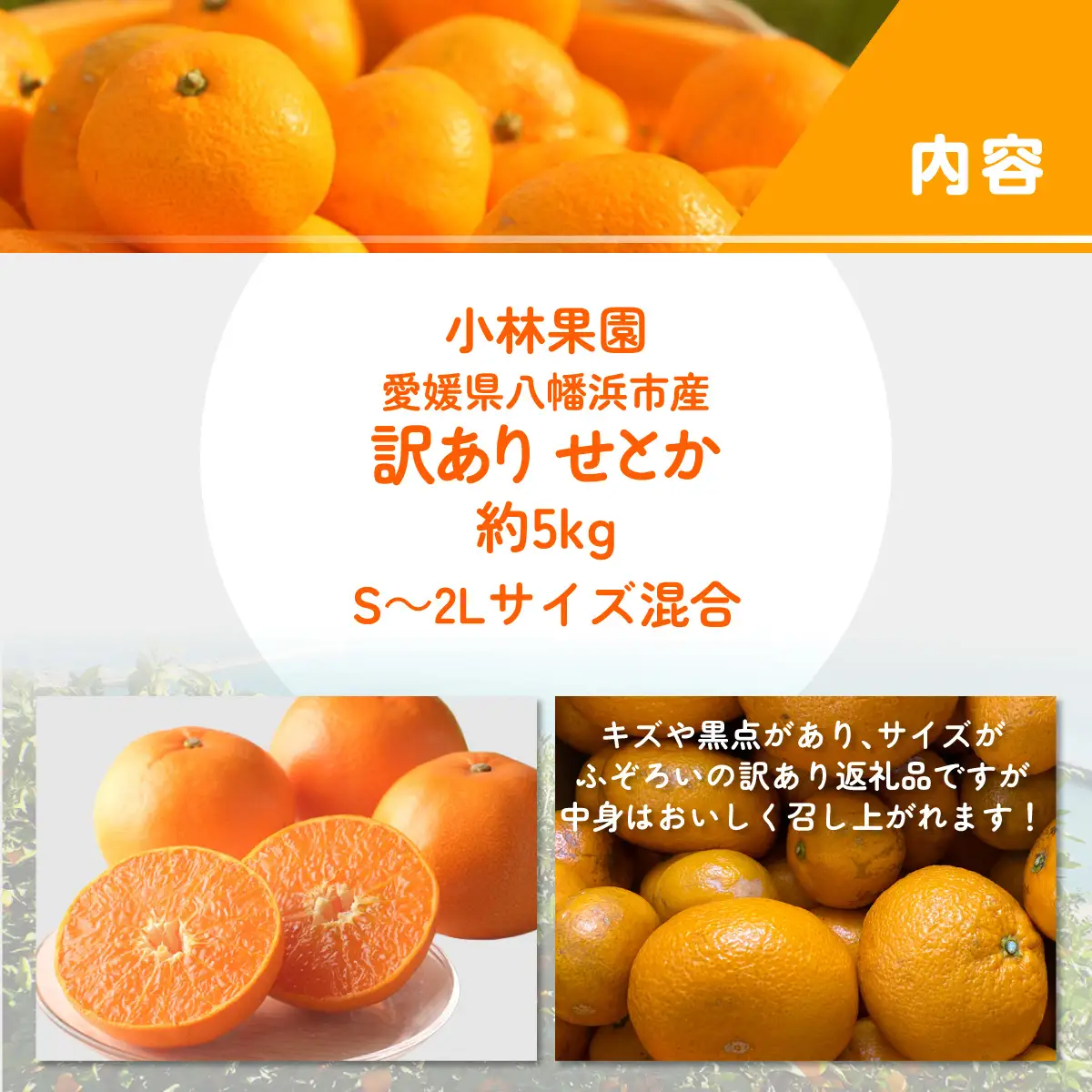 【先行受付】★訳アリ★【数量限定500箱】　愛媛・小林果園のせとか　約5キロ【D24-38】【1711119】 YWTAD029