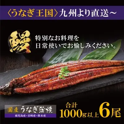 Z61-73R01 寄附額改定↓↓ 丑の日7/25までにお届け 国産 うなぎ 蒲焼大サイズ6尾（計1000g以上）うなぎ 丑の日