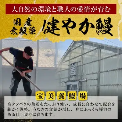 Z61-68R01 寄附額改定↓↓ 丑の日7/25までにお届け 健やか鰻 国産うなぎ蒲焼（無頭）4尾（計620g以上） うなぎ 丑の日