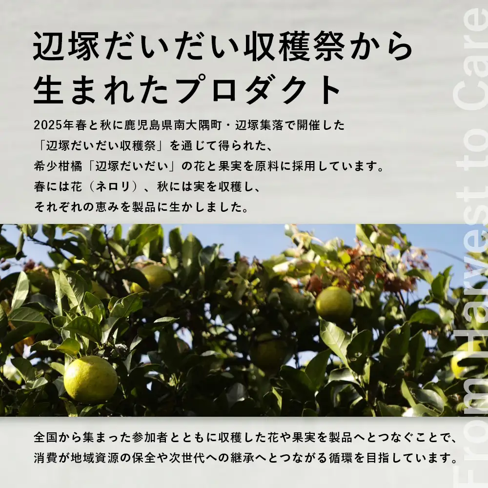 SCALP＆HAIR ESSENCE ライフインブルーム ２本セット（ 50ml＆200ml）VW-3｜スカルプ ヘア ケア 頭皮 髪 エッセンス 植物 エキス 天然 精油 ポータブル リフレッシュ 辺塚だいだい ネロリ たんかん フローラル 鹿児島県 南大隅町 Kruhi Valley and Wind