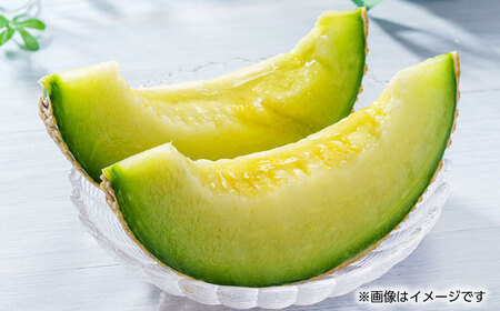 【先行予約】アールスメロン　1玉　約1.3kg以上【くまふる】[ZBG083]