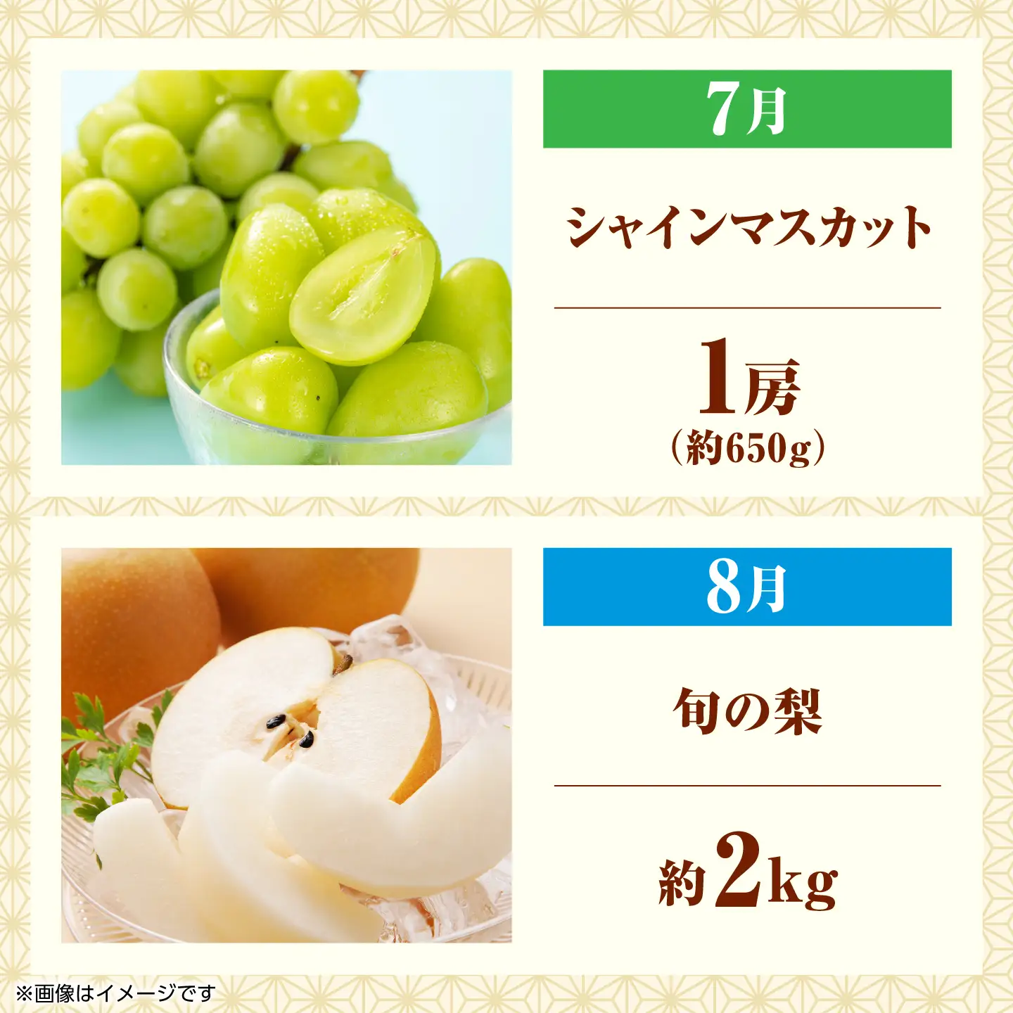 【先行予約】フルーツ6ヶ月定期便　【3月～8月】【くまふる】[ZBG084]