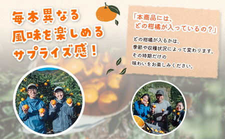 ＜農家めぐり 狩江柑橘ジュース 6選（多品種）＞ 多品種 アソート 愛媛県産 飲料 ジュース 国産 みかん 蜜柑 ミカン ストレートジュース 果汁 セット 飲み比べ 詰合せ 6本 企業組合かりエンジョイ 愛媛県 西予市 【常温】『4月中旬以降順次出荷予定』 AKK0002