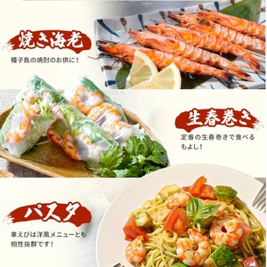 種子島 産 車えび M L 3L サイズミックス 冷凍 車海老 (250g×3袋) 計750g　NFN671 【450pt】 // 黒潮 活きえび 急速冷凍 真空パック冷凍 加熱用 甘み 旨み 新鮮 ぷりっぷり 250ｇ 小分け 塩焼き 海老フライ 天ぷら エビチリ