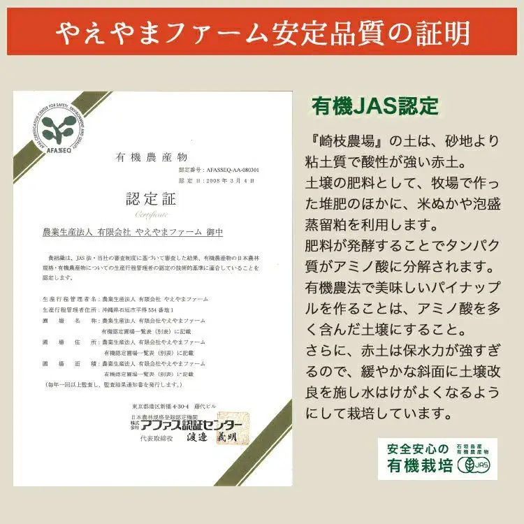 訳あり 石垣島産 有機パイナップル 約2.8kg 2～5玉