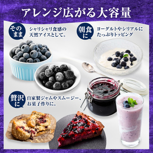 先行予約【朝採り】当日冷凍「北海道ニキブルーベリー」2kg（500g×4）サイズ混載 果物 くだもの 冷凍 フルーツ ブルーベリー 北海道 仁木［ぜにたに農園］