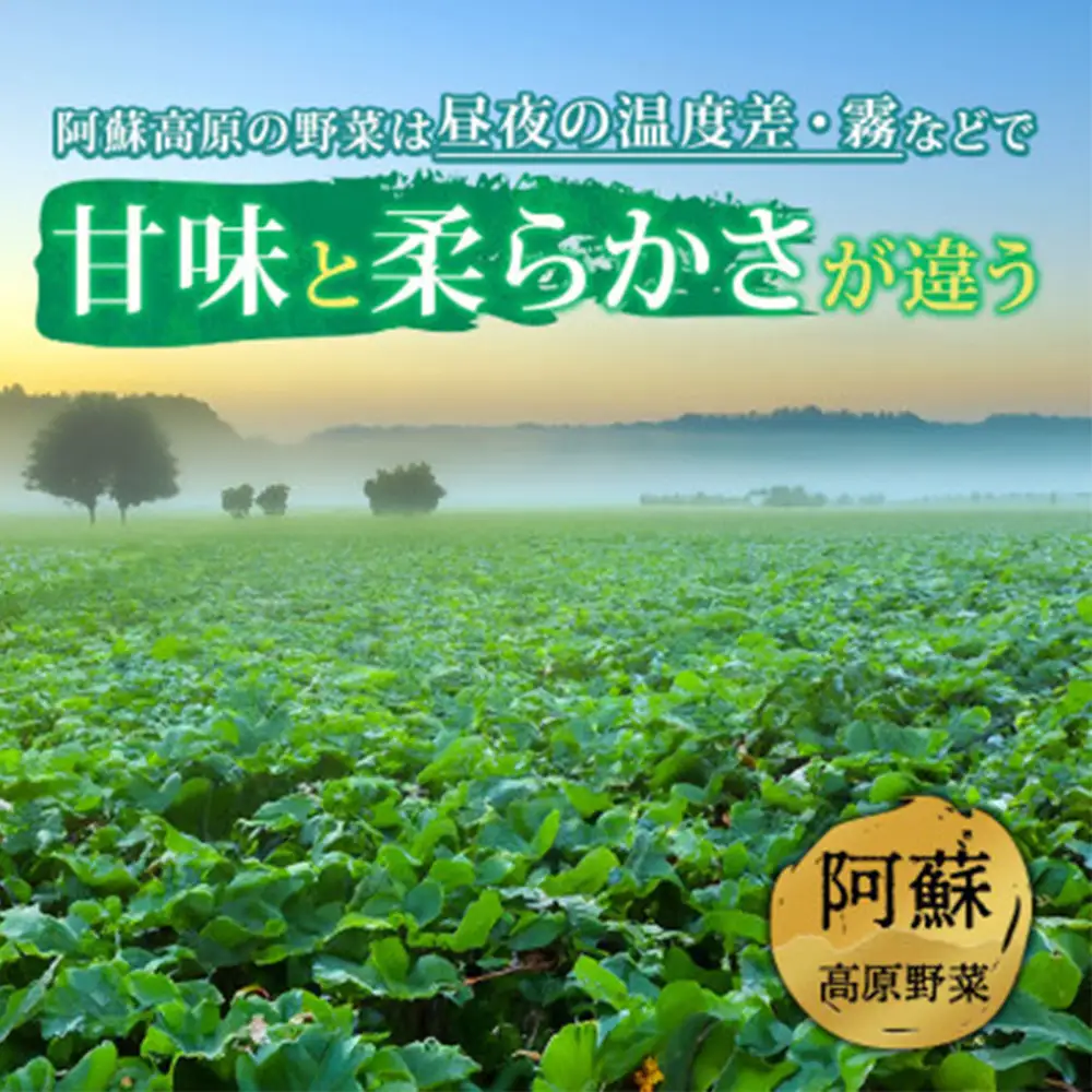 ＜畑から直送＞季節のお野菜セット Sサイズ（3品）