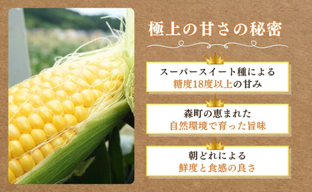 森町産“森のおおきみ”平均糖度18度超え・朝採れスイートコーン（たっぷり大容量） とうもろこし スイートコーン 森のおおきみ 朝採れ 新鮮 大容量 フルーティー 上品 詰め合わせ 野菜 静岡県 森町