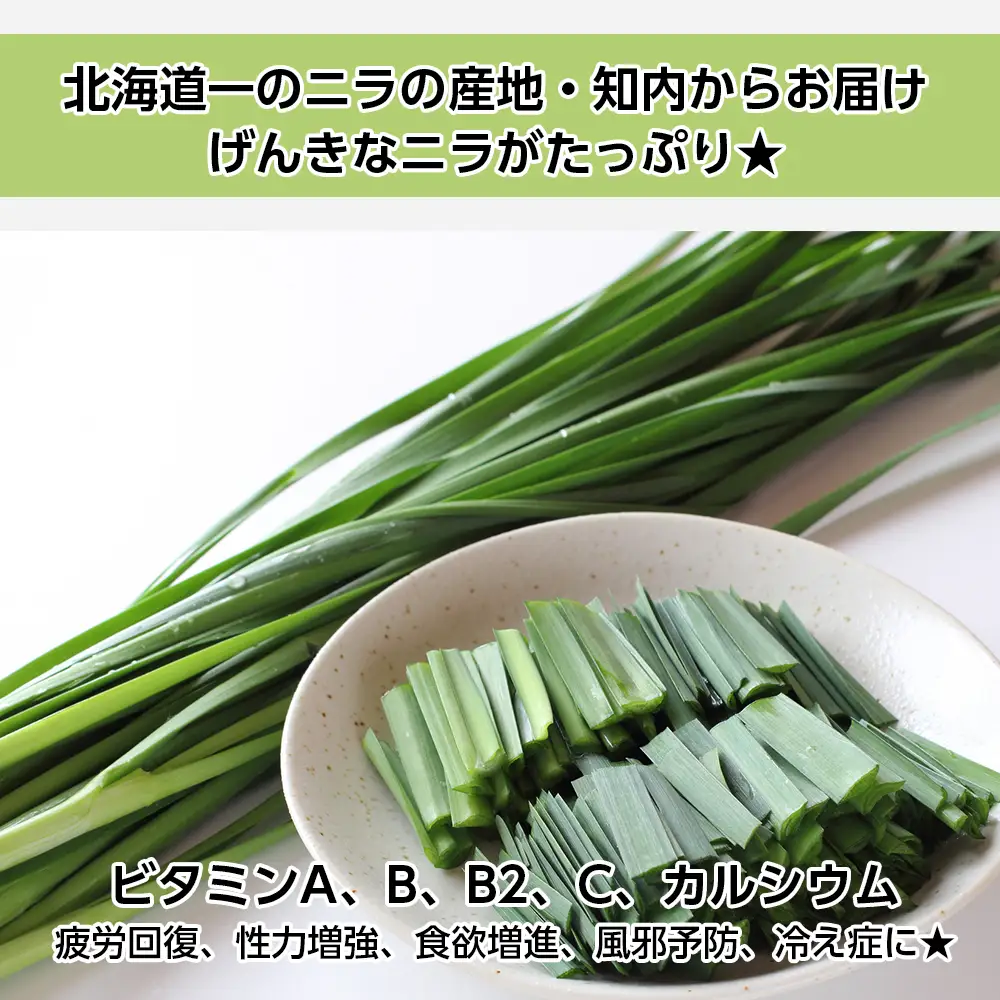 餃子 北海道の食材たっぷり！手作り餃子５袋セット スリーエス
