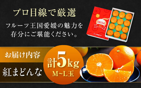 紅まどんな（家庭用）約5kg （24玉-30玉）紅まどんな[AGAO009]
