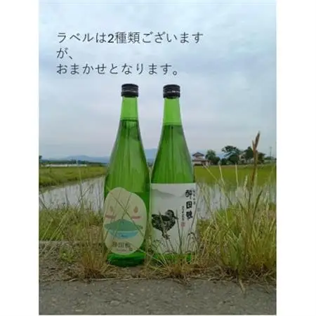酔田鴨　純米吟醸　720ml×1本【1678434】