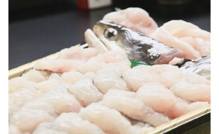 【若男水産】淡路島名物！天然鱧を使った鱧ちりセット（４～5人前）◆配送5月25日～9月30日