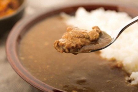【若男水産】淡路島3年とらふぐカレー（甘口）