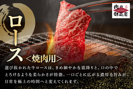 飛騨牛 A5等級【冷蔵配送】サーロインステーキ＆ローススライス＆ロース焼肉用 特盛セット 計1.9kg以上 着日指定可 飛騨牛