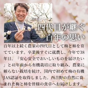梅炭パウダー (15g) × 1個 | 梅炭 パウダー 梅シソ 梅 ウメ うめ シソ しそ 紫蘇 有機 ふりかけ ごはん お供 トッピング お弁当 弁当 健康 調味料 | 奈良県 五條市