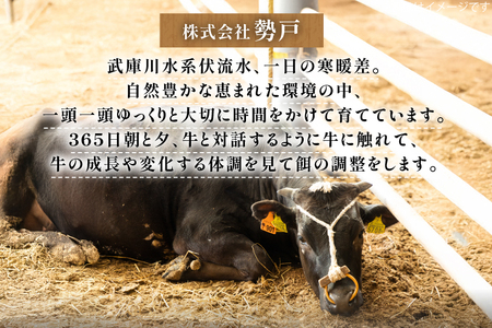 三田 マルセ牛 焼しゃぶ 500g [勢戸 兵庫県 三田市 3d28bae610046]