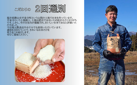 令和7年産 コシヒカリ 5kg 精米 福井県勝山市 平泉寺産｜甘い 艶 ふっくら 食味92点 山間地米 冷めても美味しい おにぎり・お弁当 [A-097001]