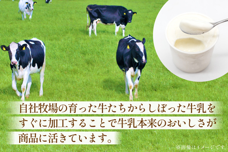 はちみつ & アイス 百花蜜 450g × 1本 牧場直送アイス 120ml×5種 計5個 [吉田養蜂園 岩瀬牧場 北海道 砂川市 12260986]
