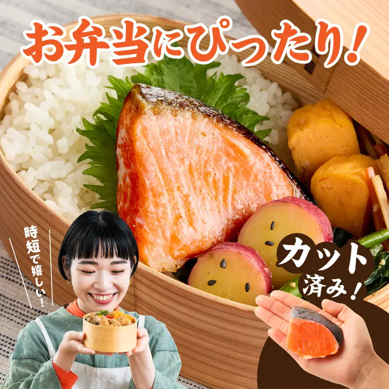 鮭の切り身 500g（11～13切れ）