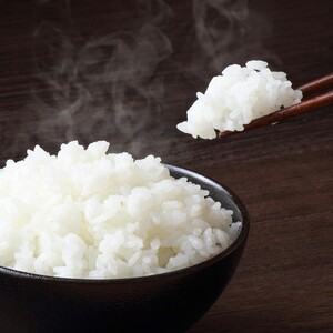 ≪令和7年産≫ 宮城県登米市産 ひとめぼれ 3kg 精米 お米 おこめ 米 コメ 白米 ご飯 ごはん おにぎり お弁当 ブランド米 【有限会社伊豆沼農産】tm694
