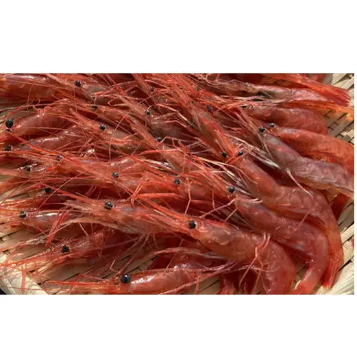 8-011-006　冷凍甘えび 500g（約40尾）