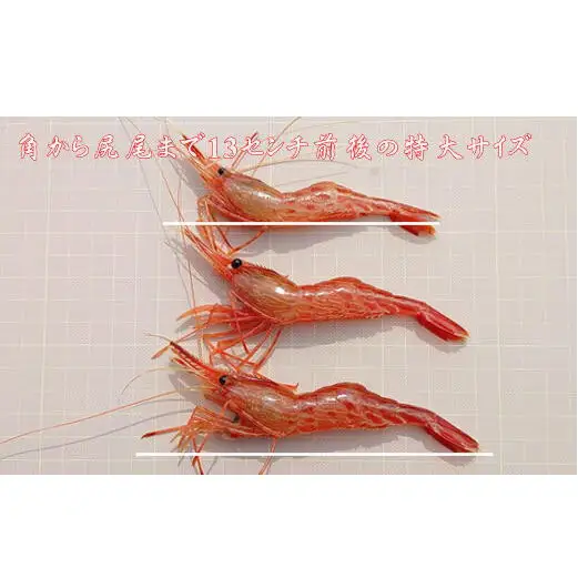 8-022-003　冷凍甘えび・しまえびセット 各500g