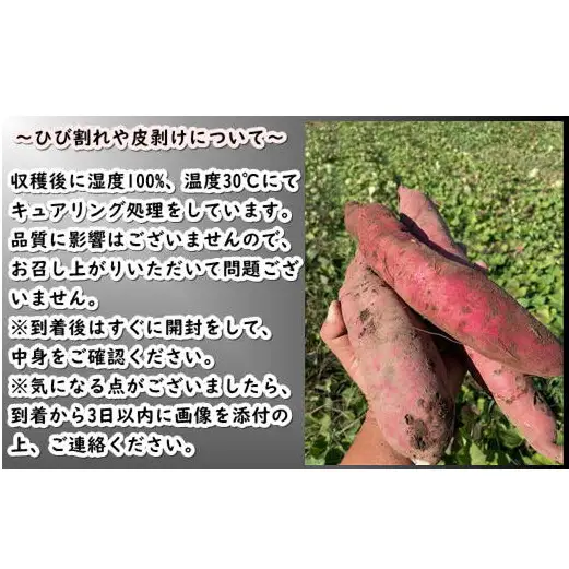 8-005-004　さつまいも食べ比べ（紅はるか・シルクスイート）2kg【マルゼン佐藤果樹園】