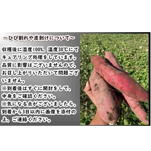 8-010-014　さつまいも食べ比べ（紅はるか・シルクスイート）5kg【マルゼン佐藤果樹園】