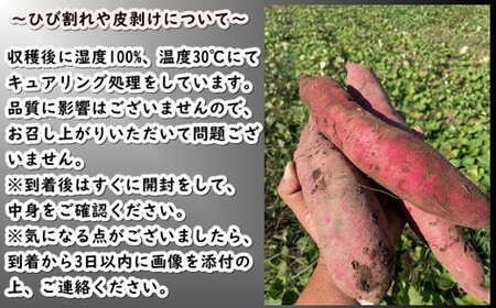 8-010-012　さつまいも（紅はるか）5kg【マルゼン佐藤果樹園】