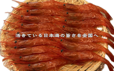 8-024-006　天然甘エビ 1kg（60尾前後）