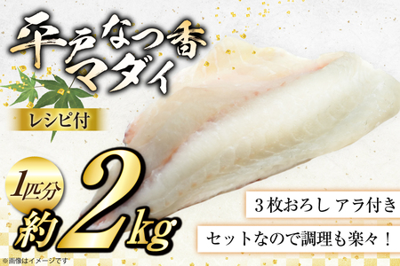 タイ 刺身 平戸なつ香 鯛 丸々 1匹 約2kg 3枚おろし アラ付き セット [坂野水産 長崎県 平戸市 hr42bgy420504]