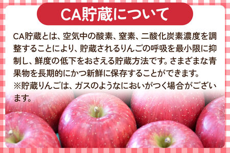 【26年5月クール便発送】りんご ふじ【良品】約3kg【CA貯蔵】キタエアップル