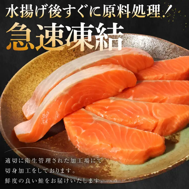 訳あり サーモン 切身 骨取り 皮取り 無塩 総重量 1.5kg [足利本店 宮城県 気仙沼市 20565974]