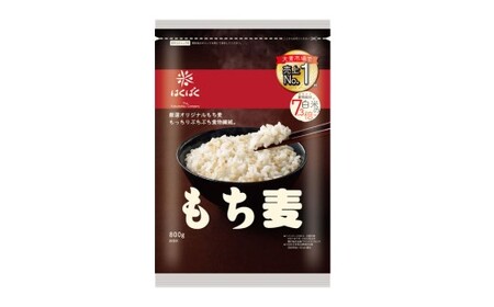 【はくばく】もち麦 800g×6袋 もち大麦 穀物 食物繊維 ご飯 ごはん 山梨県 中央市 送料無料